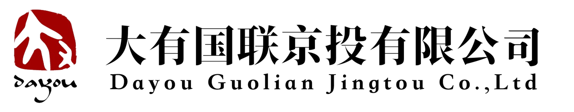 大有国联京投有限公司